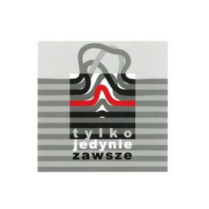 Tylko, jedynie, zawsze. Przestrzeń architektury/przestrzeń sztuki